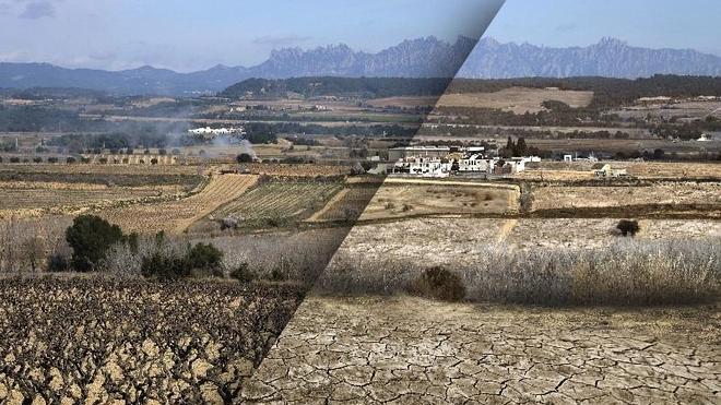 De mar de viñedos a futuro desierto