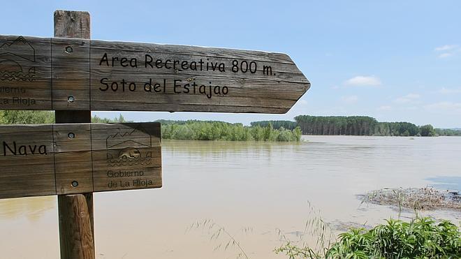 Taller en los sotos sobre las aves migratorias