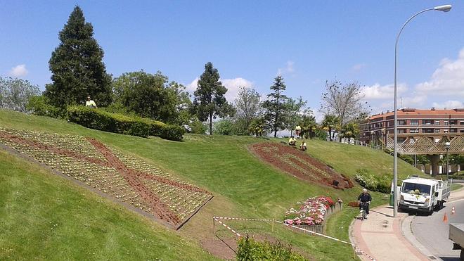 2.800 flores 'dibujarán' la bandera de Logroño junto a la 'ñ'