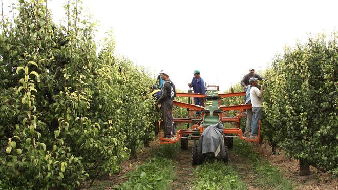 La finca de regadío de 1,43 hectáreas de Tambarría sale a concurso por veinte años