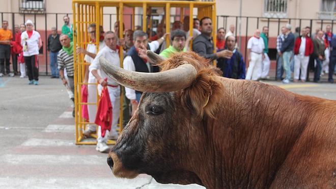 Arnedo, a la carrera