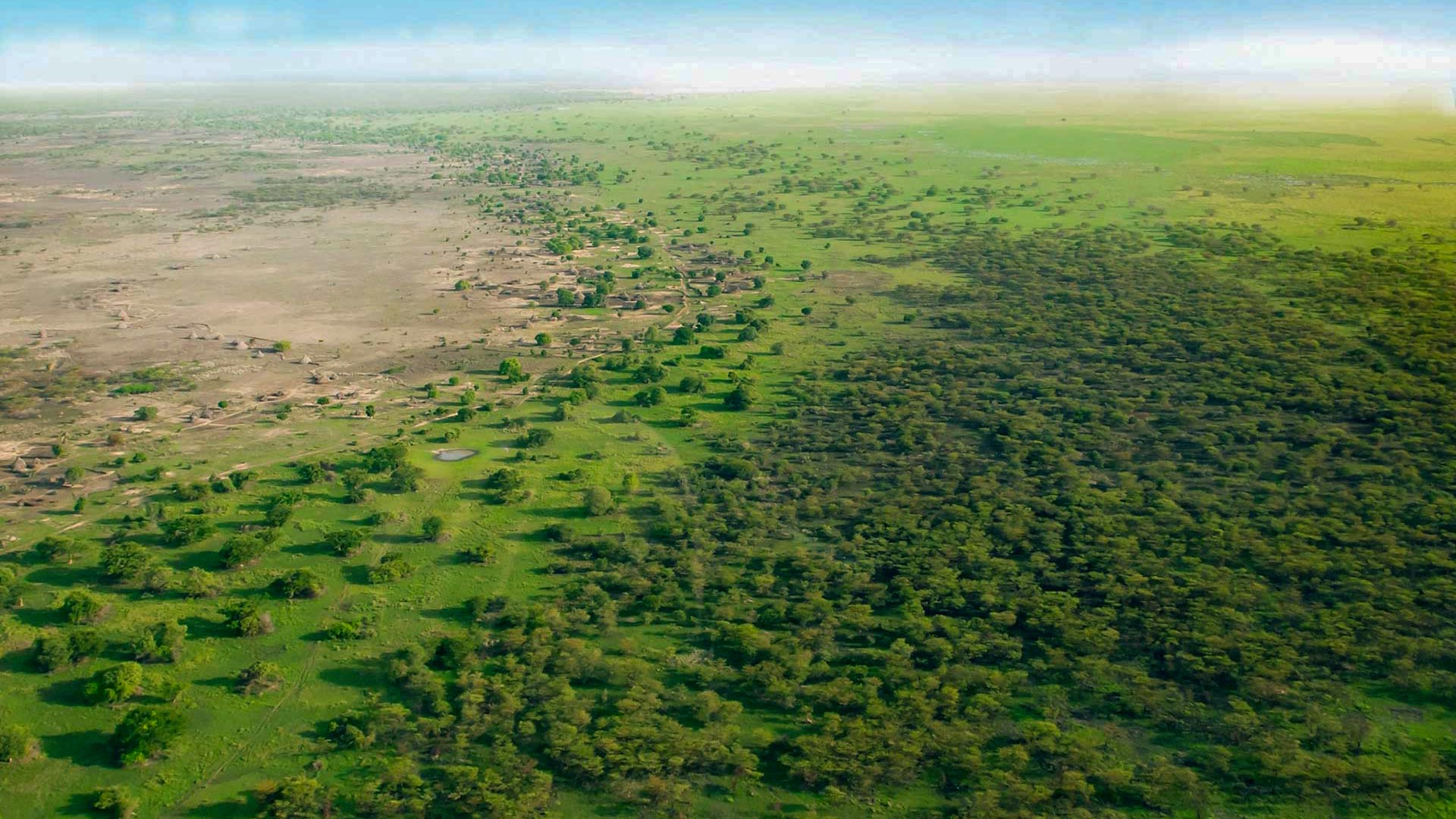 La gran muralla verde: ¿es posible convertir un desierto en un vergel?